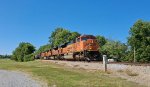 BNSF phosphate train on the EVWR